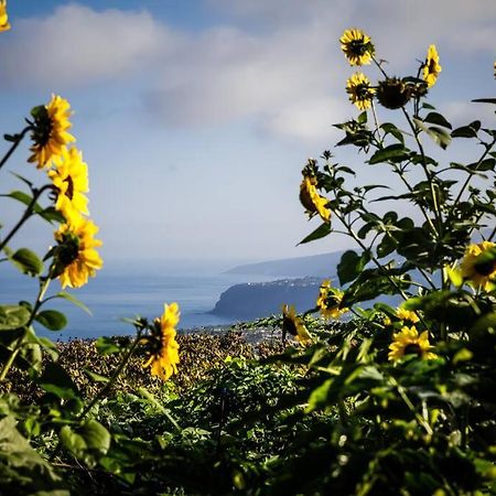 Finca Maranuela La Perdoma Exteriér fotografie