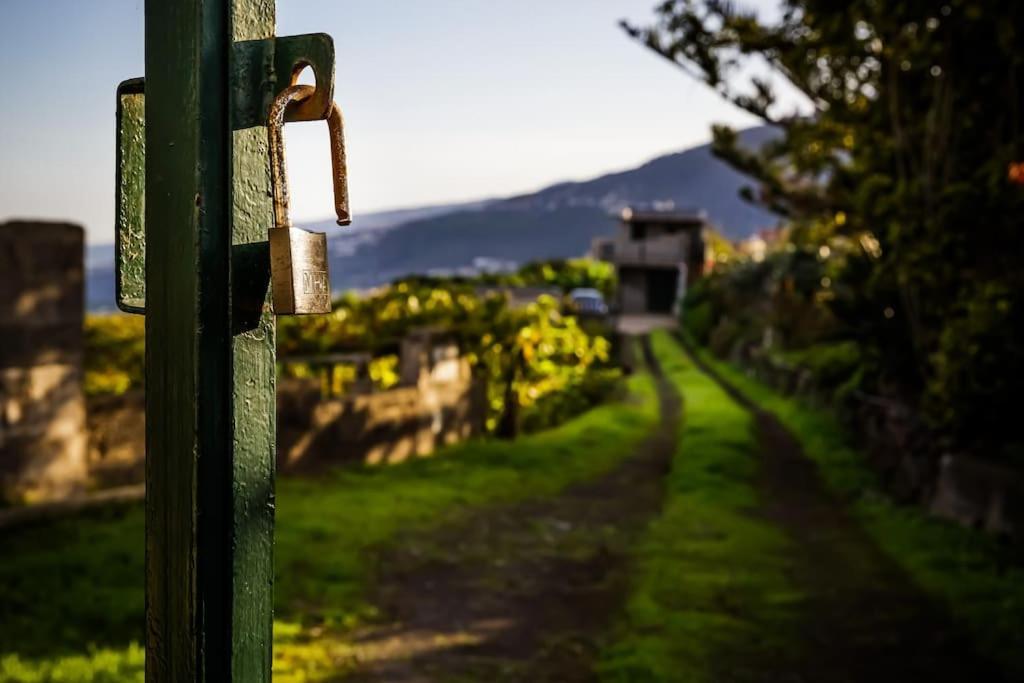 Finca Maranuela La Perdoma Exteriér fotografie