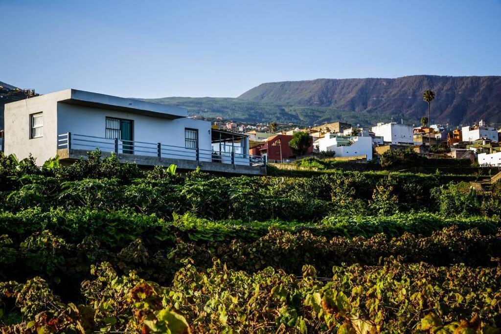 Finca Maranuela La Perdoma Exteriér fotografie