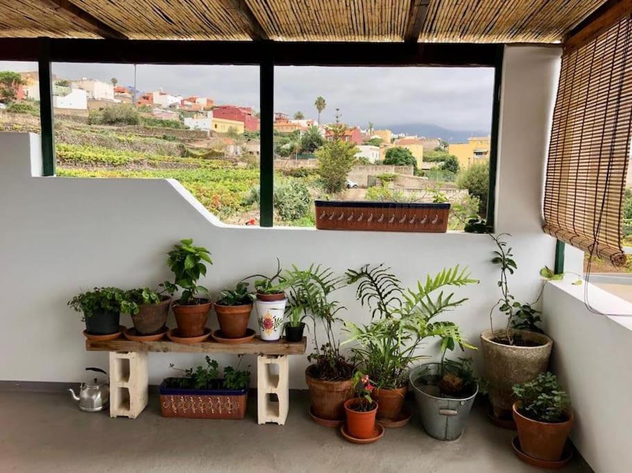 Finca Maranuela La Perdoma Exteriér fotografie