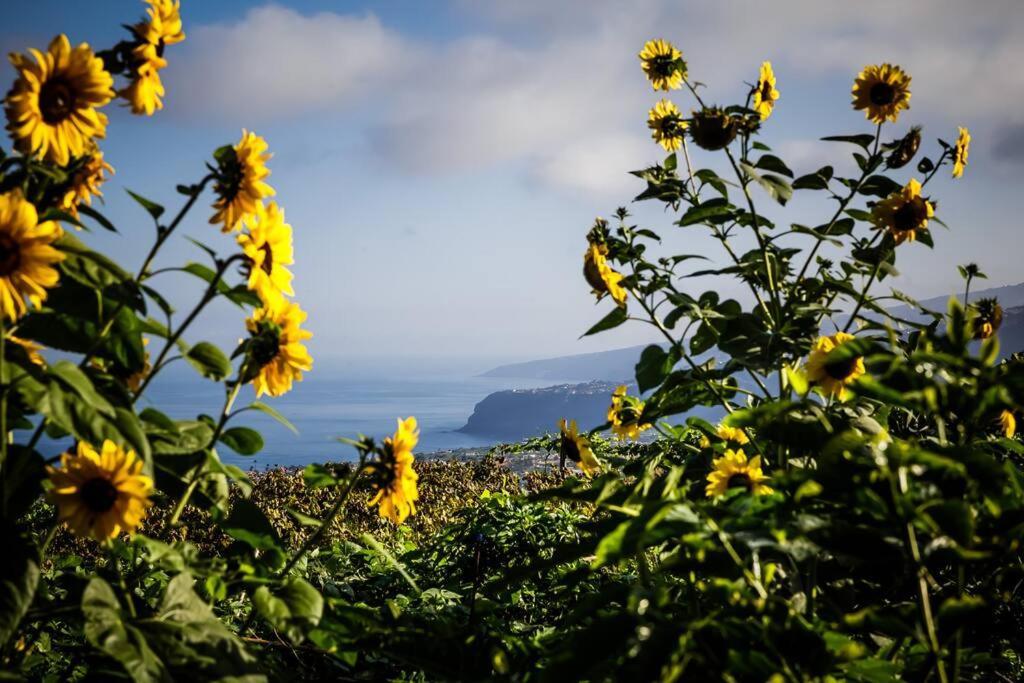 Finca Maranuela La Perdoma Exteriér fotografie
